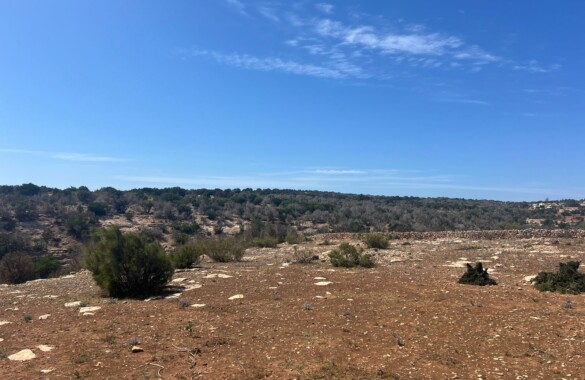 Superbe terrain de 2 hectares à proximité d’Essaouira