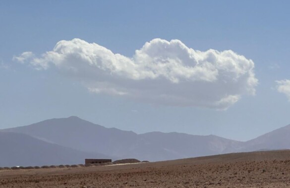 Superbe terrain pour projet dans le désert d’Agafay