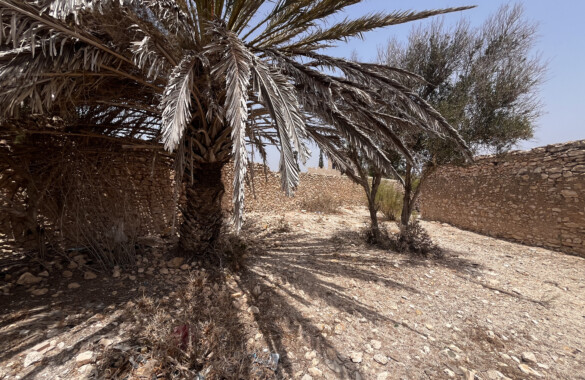 Handsome plot close to Essaouira for sale