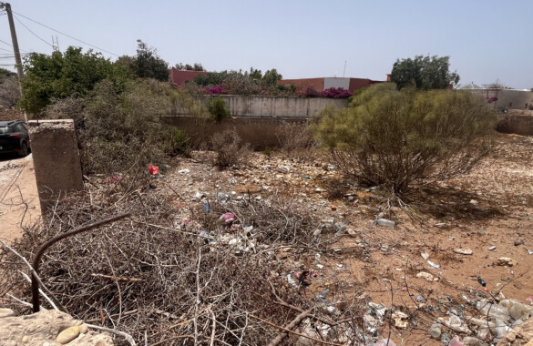 Small plot close to Essaouira