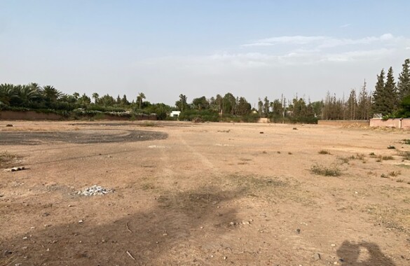 Beau terrain titré d’un hectare en plein cœur de la Palmeraie