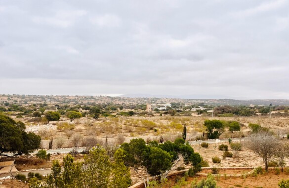 Magnifique terrain à vendre d’un hectare a Sidi Kaouki