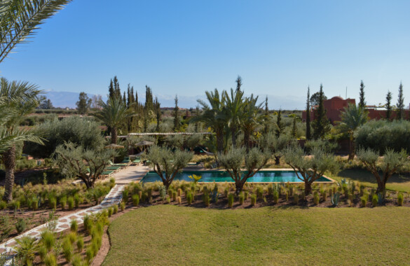 Splendide propriété de 2 hectares avec grande piscine et oliveraie